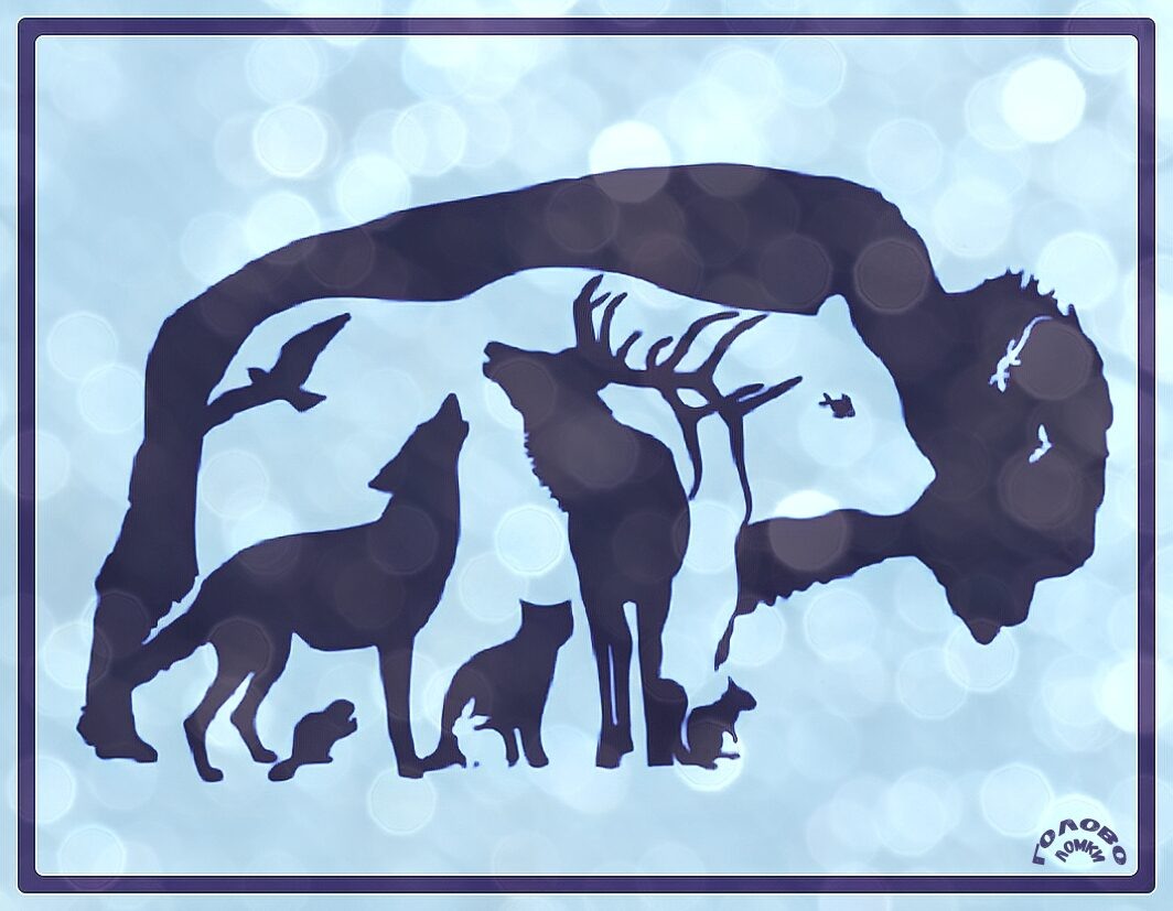 Задача на внимательность - найдите животных