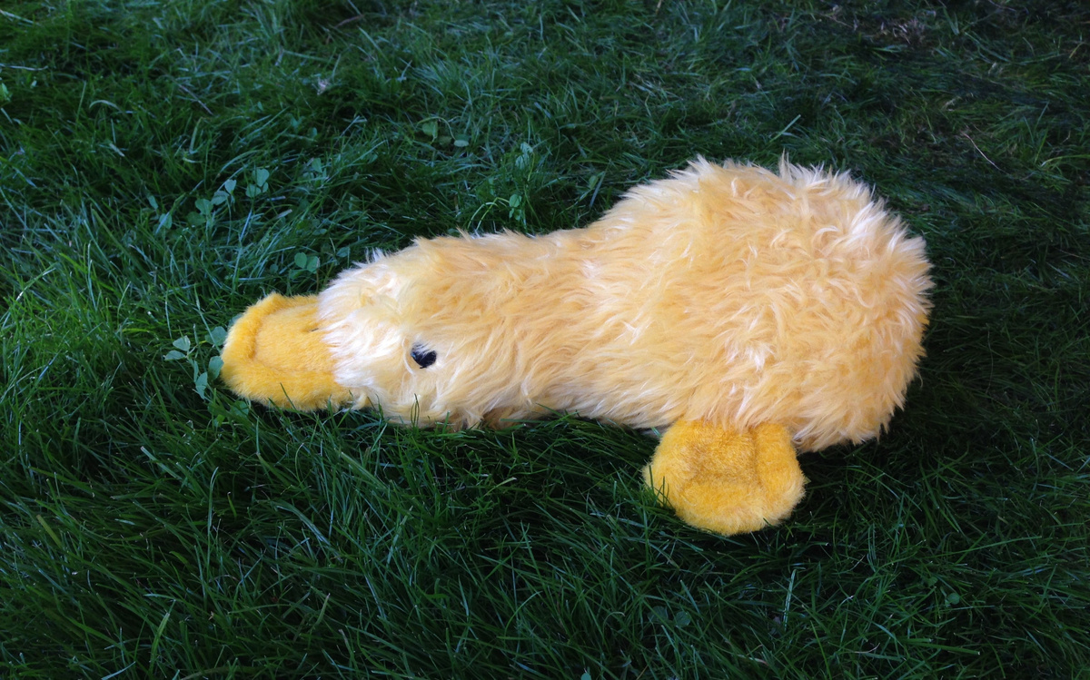 Фото Kristen Lee с сайта unsplash.com