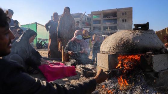    Глава ВОЗ: каждый пятый житель Газы страдает от нехватки продовольствия Андрей Бурков