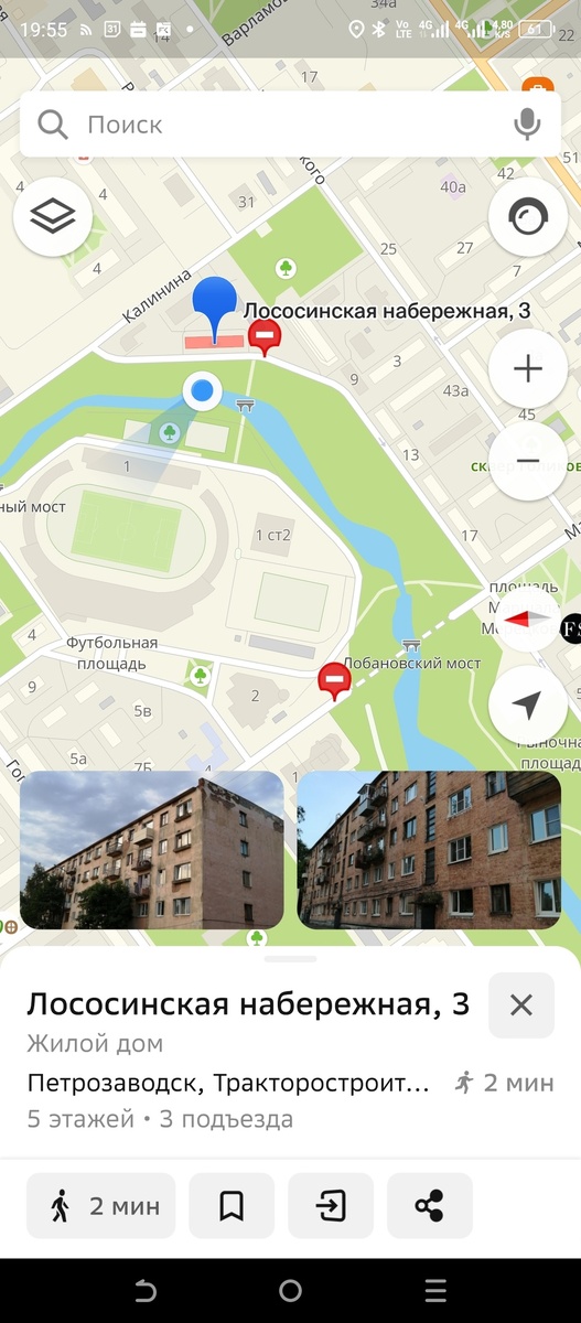    Борщевик разросся в опасной близости от жилого дома в Петрозаводске