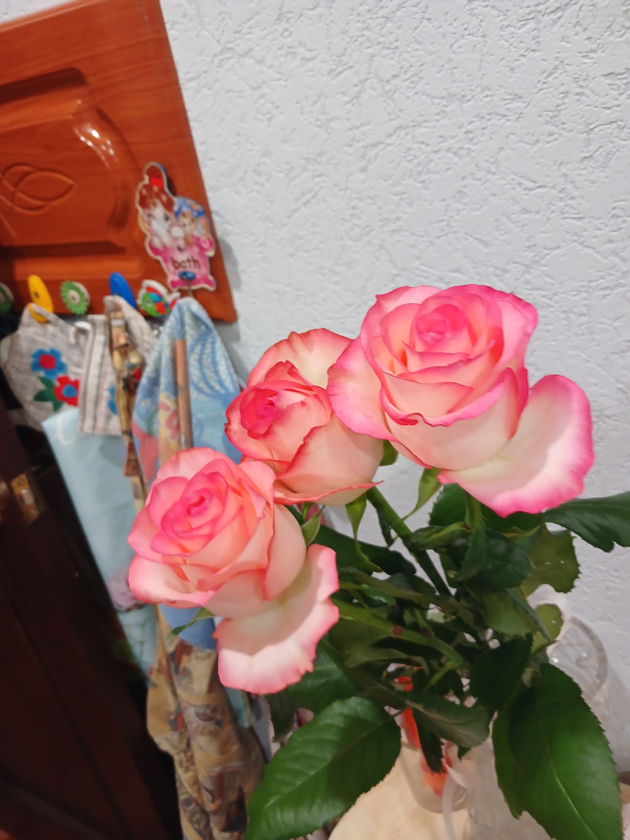 Такие милые 