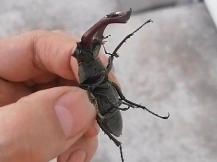 Источник фото: kvu.su