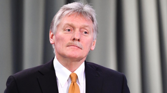    В Кремле назвали абсурдными слова прокурора МУС о стремлении сотрудничать с Москвой Анастасия Романова