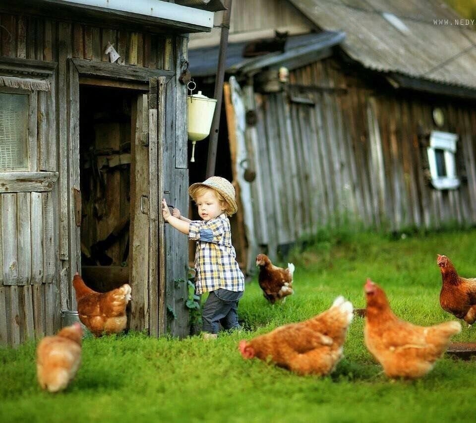 фотографии из архива интернета