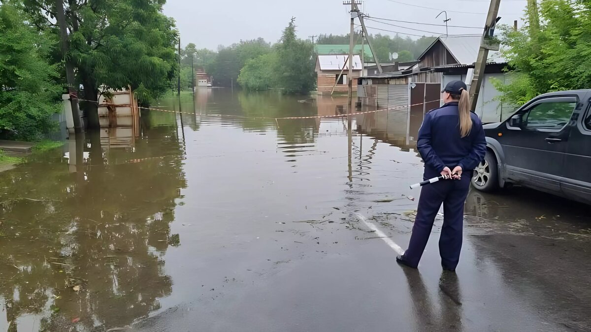     Источник: prim_police