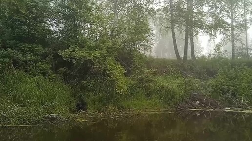 Где искать окуня на таежной речке. Рыбалка на таежной Сибирской речке