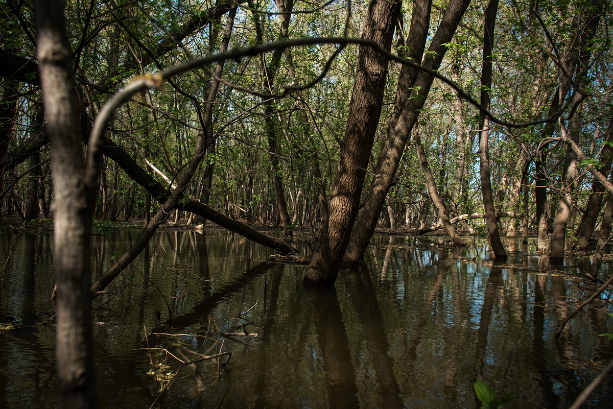 Nikon D800, 24 mm, 1/400 c, f/8, iso 400