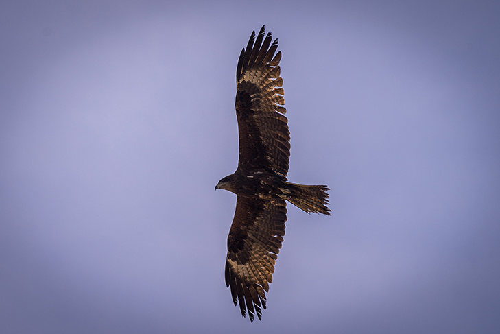    Фото Андрея Заржецкого.