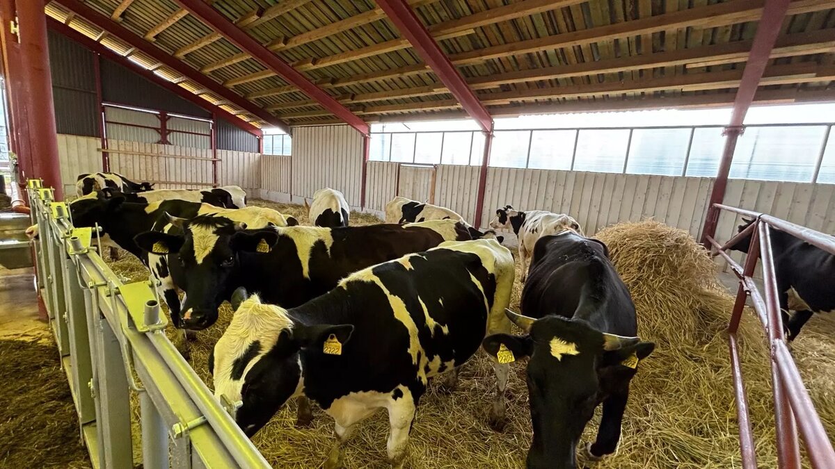     Источник: Пресс-служба главы и правительства Удмуртской Республики