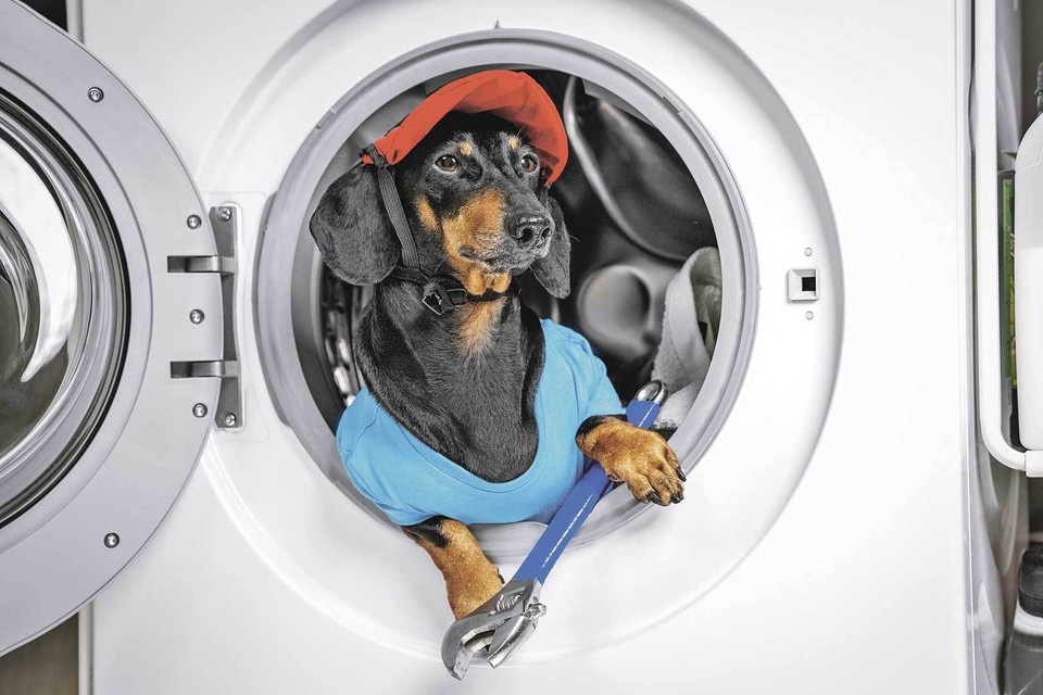    Почему ремонт холодильника или стиральной машины обходится так дорого. Shutterstock