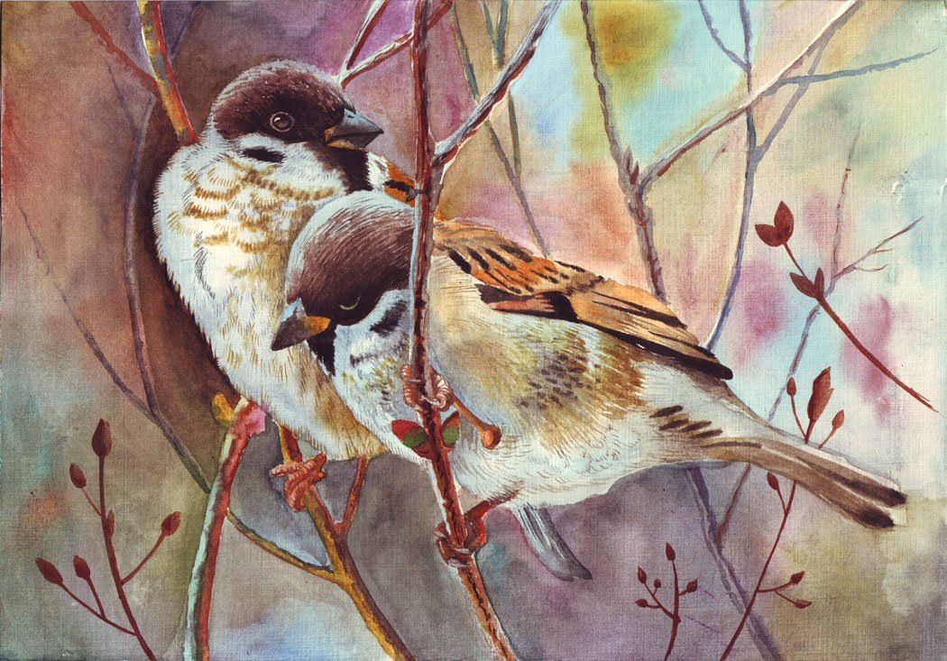 картинка из свободных источников.