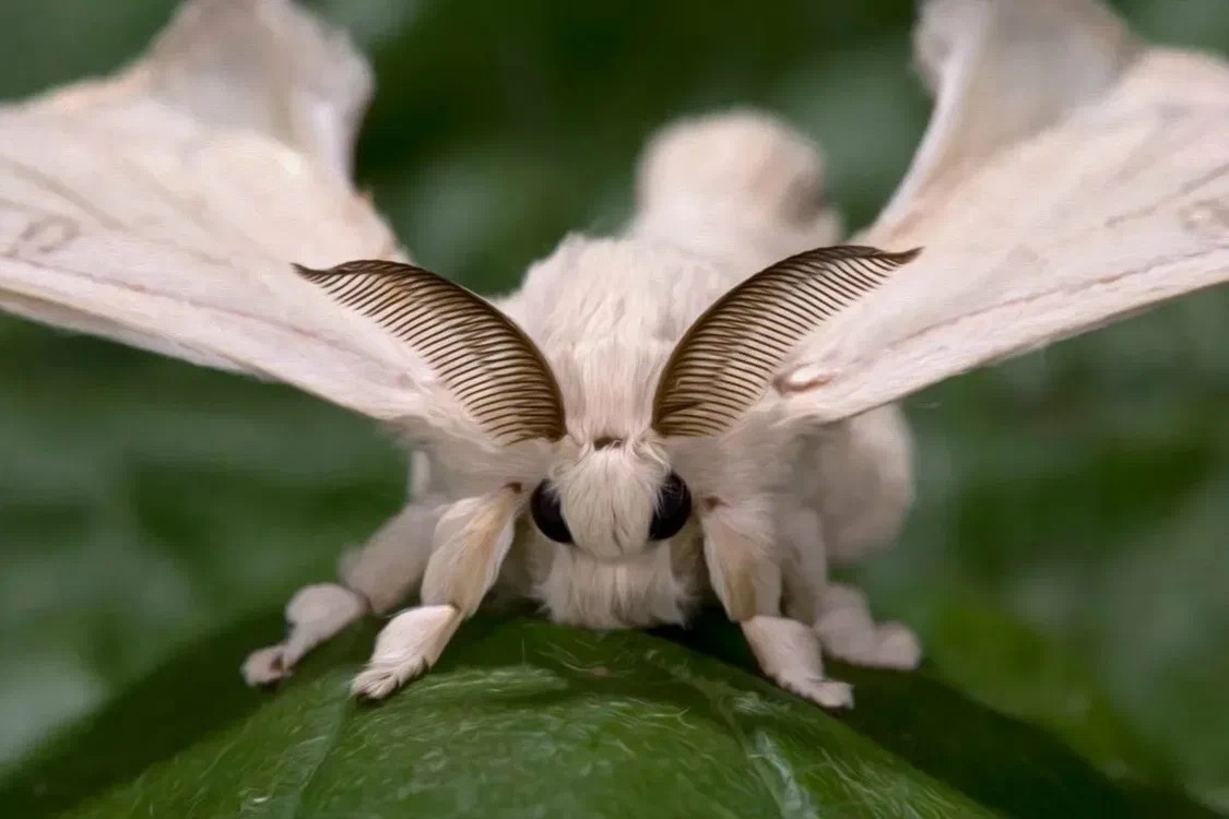 фото из открытых источников