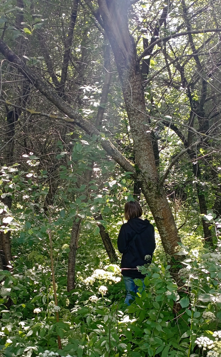 Луч солнца золотого... Усадьба Алтуфьево. Здесь и далее фото автора или из личного архива автора.