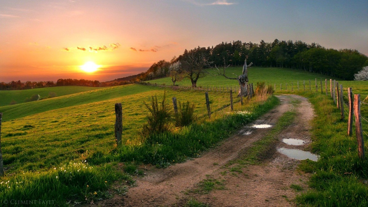 Из открытых интернет источников.