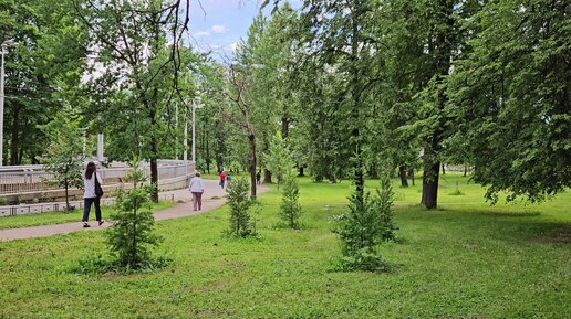 Виноградовский сквер - зелёный уголок на территории бывшей Фарфоровой колонии