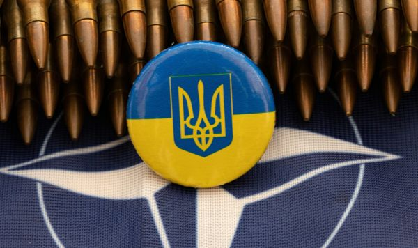 © unsplash / Marek Studzinski