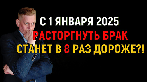 С 1 января 2025 расторгнуть брак станет в 8 раз дороже. Предложение Минфина