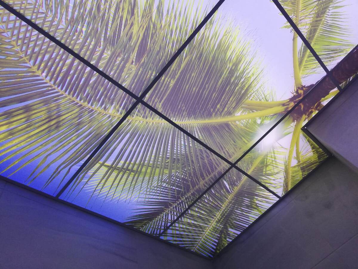 Витражный потолок, работа Потолки Роста