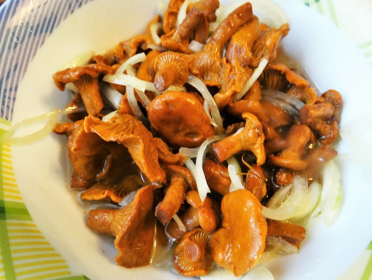 соленые лисички, фото автора, т.е. моё