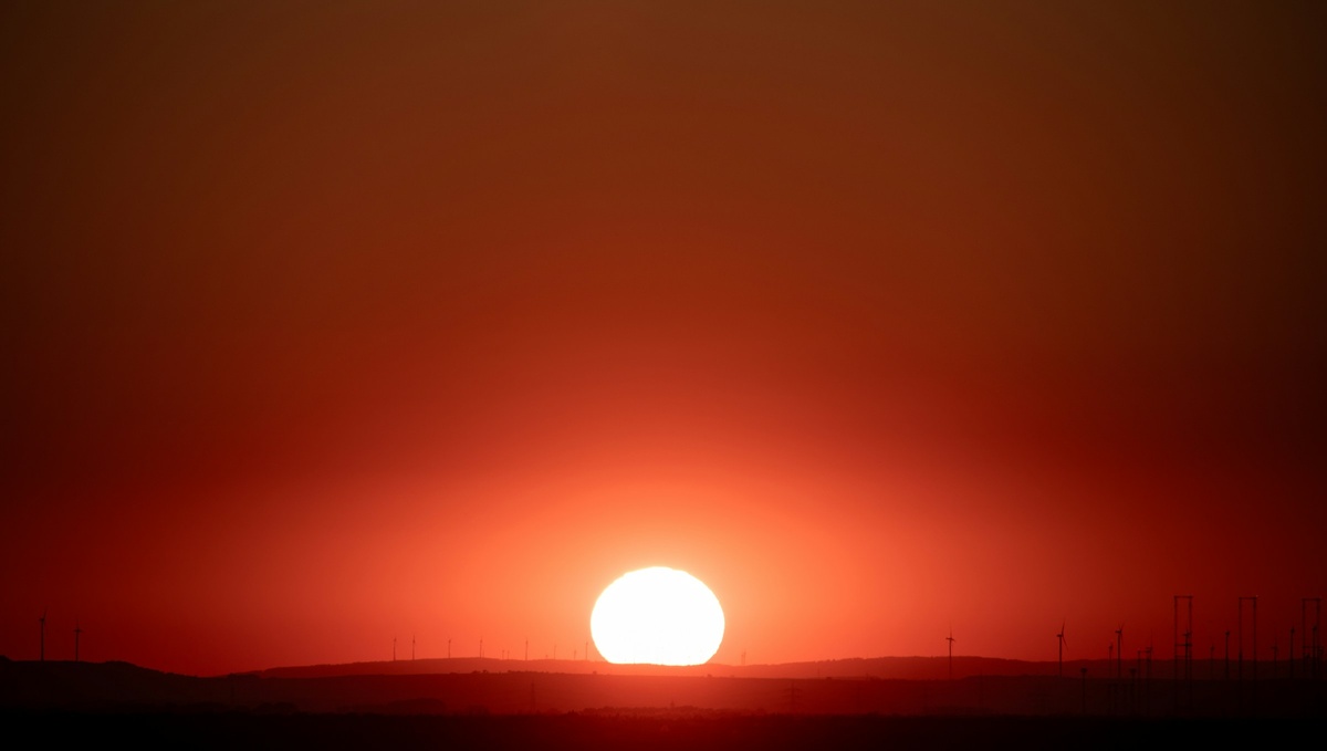 Фото с бесплатного фотостока https://unsplash.com, автор Bernd 📷 Dittrich