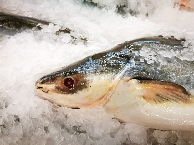 С одной стороны, пангасиус рыба крайне удобная: недорогая, вкусная, нежная, и приготовить из нее можно массу разных блюд, от бульона до котлет.-2
