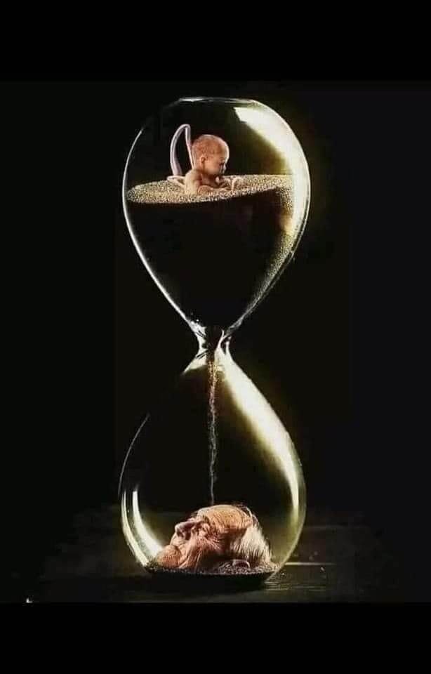 Жизнь человека это движение, процесс, течение.  Человек это процесс, поток, движение.