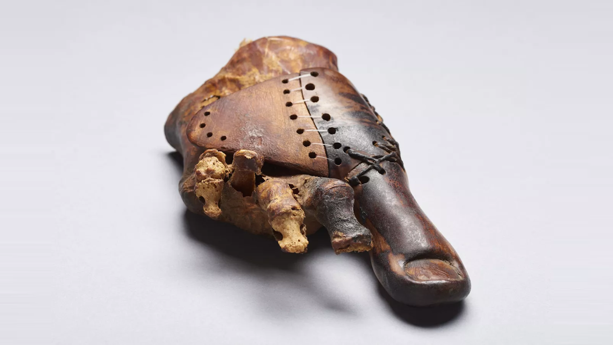 Источник: https://ria.ru/20170621/1496993664.html