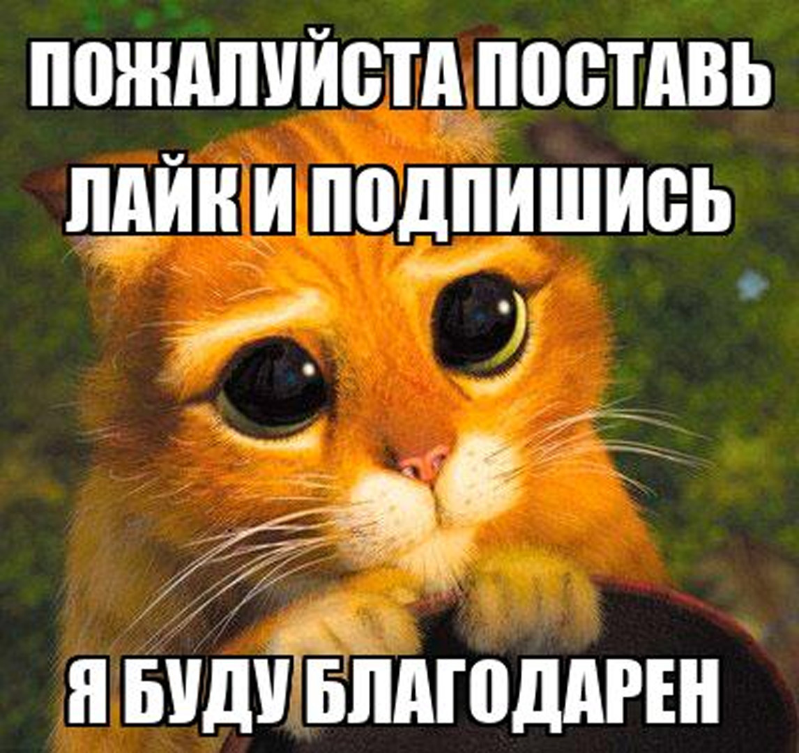 плиз, подпишись и поставь лайк