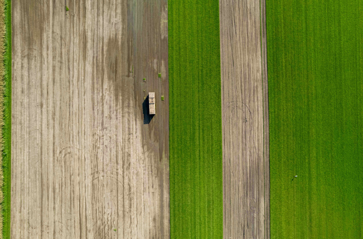 Картинка с бесплатного фотостока https://unsplash.com, автор Bernd 📷 Dittrich 