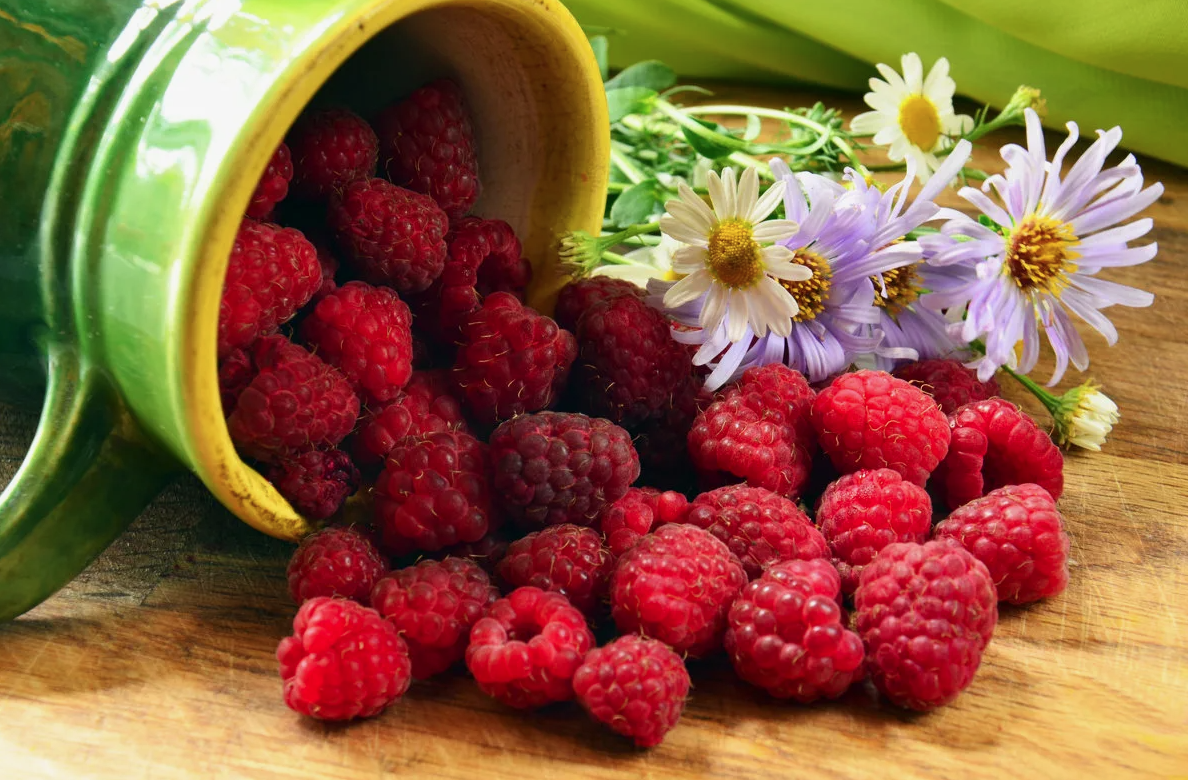 Ягода малина нас к себе манила. Фото из открытых источников