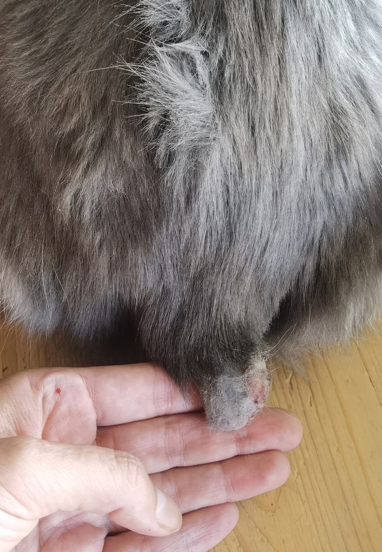 Пупочка после