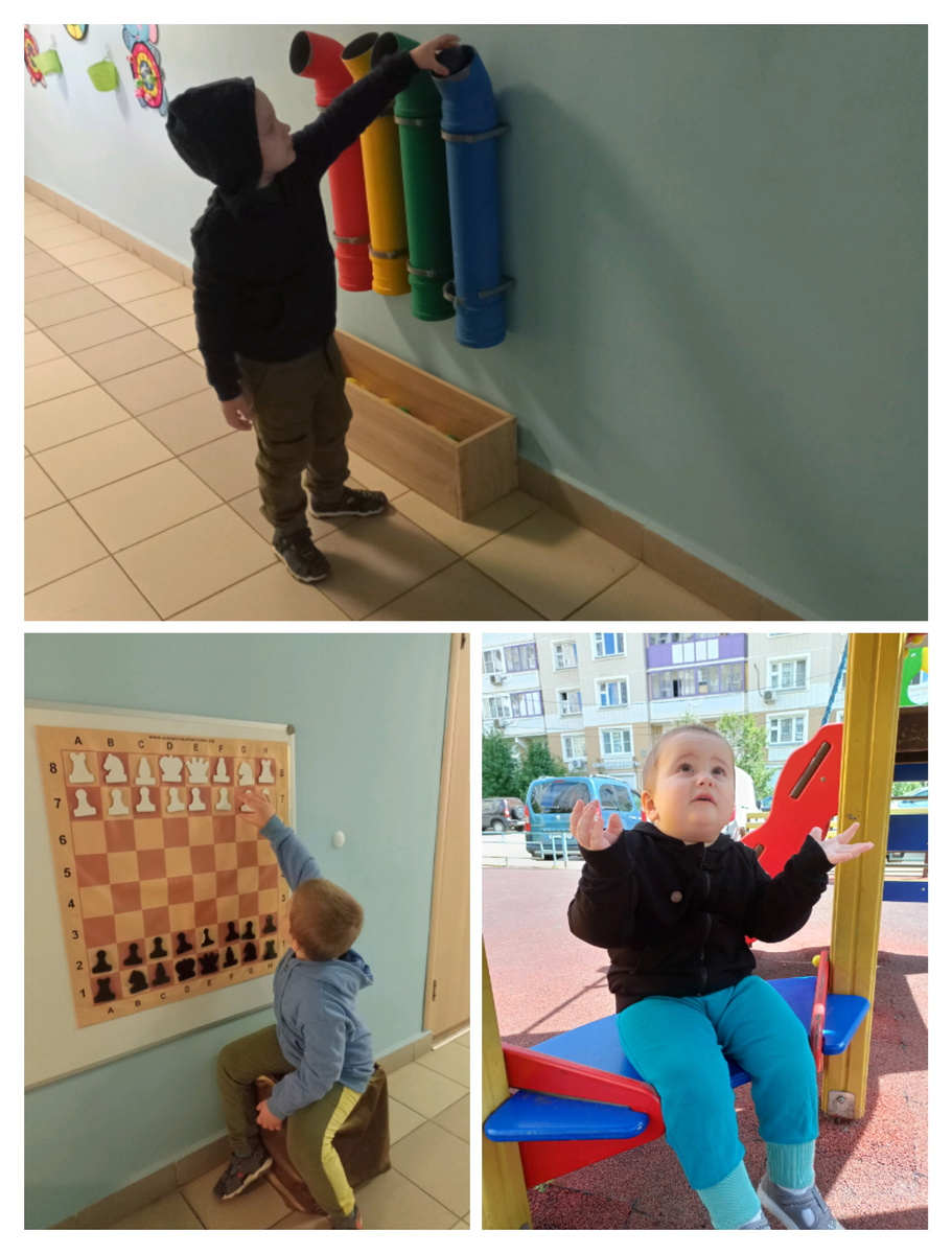 Везде: и гулять, и по делам, всегда вместе 