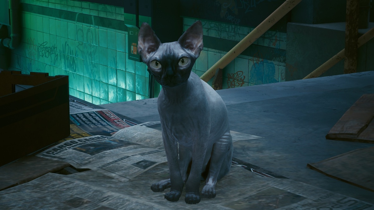 Cyberpunk 2077