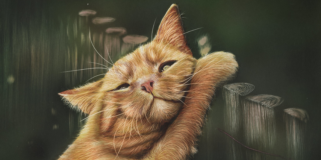 Выборы погоды.