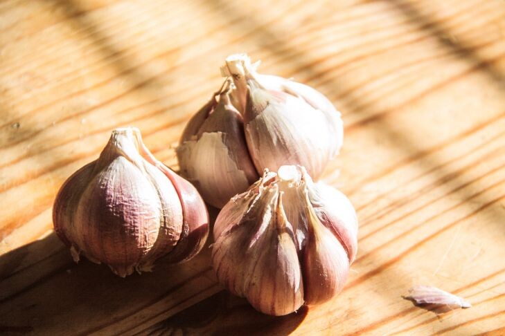    чеснок