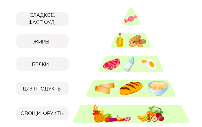 ПИЩЕВАЯ ПИРАМИДА