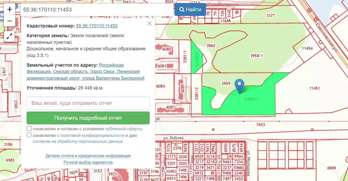    Источник: Публичная кадастровая карта Омской области