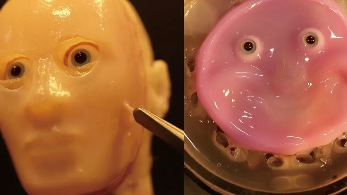     Источник: Cell Reports Physical Science