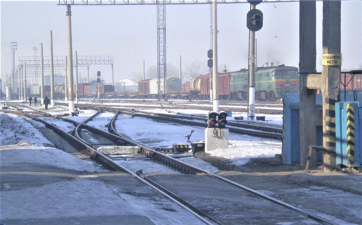 Фото: АПК Новости