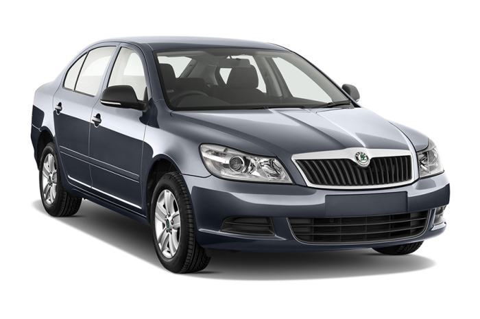 04E906016A_6393, Skoda Octavia, 0404E906016A 6393, перевод на евро 2, Stage 1