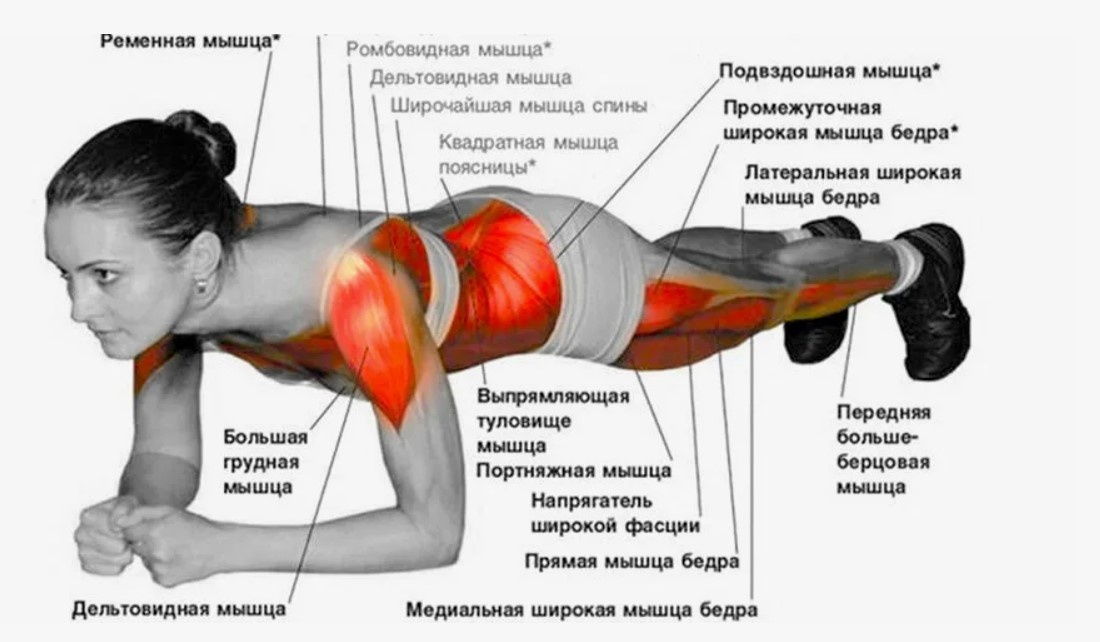 в свободном доступе в сети. Яндекс.картинки 