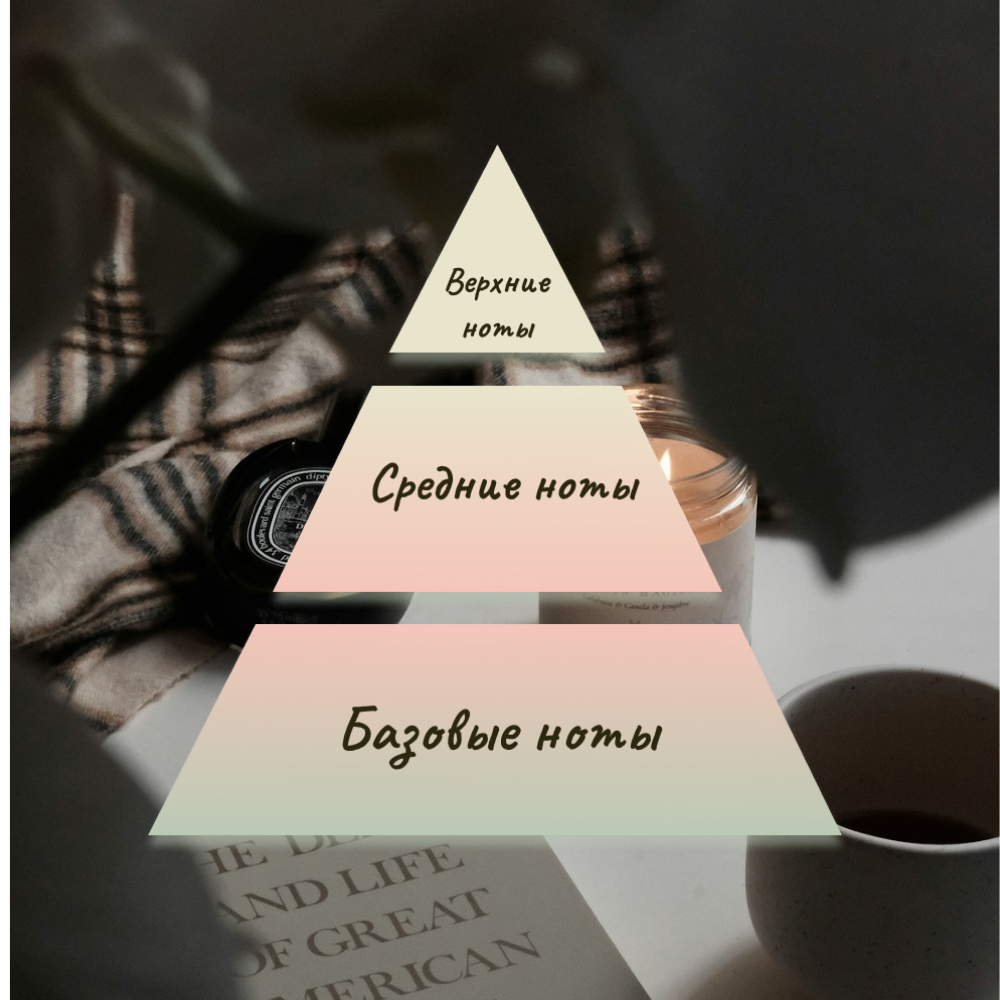 пирамида нот селктивной парфюмерии