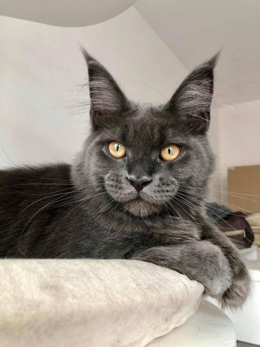 Фото из личного архива.