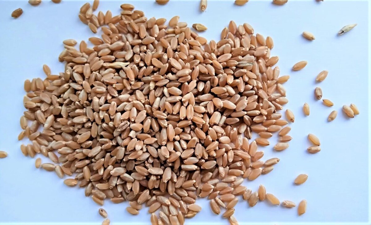 Фото: Е.Карабанов