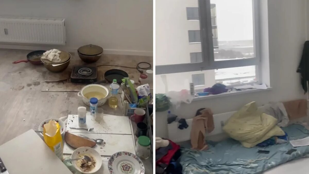    Нелегальные жильцы в новостройке