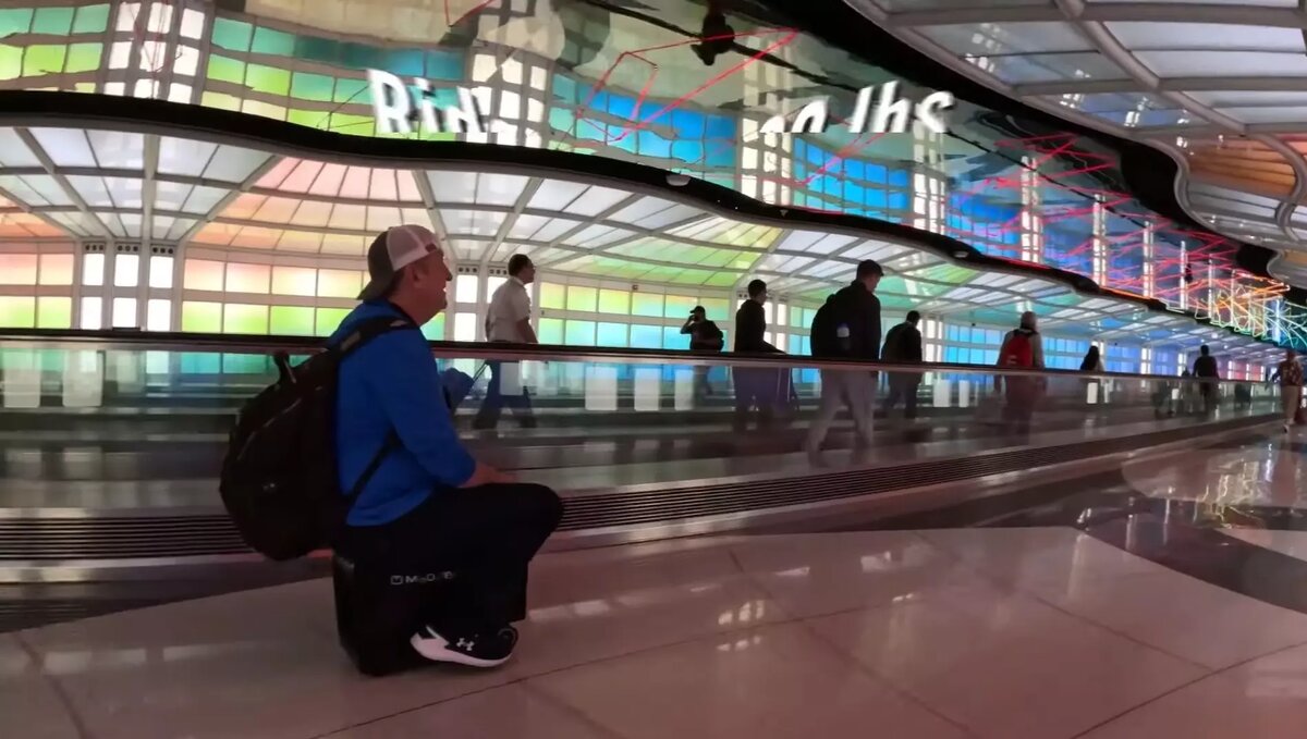     Источник: Modobag