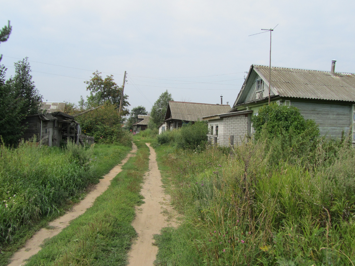 д. Шаталиха, фото 2012 г.