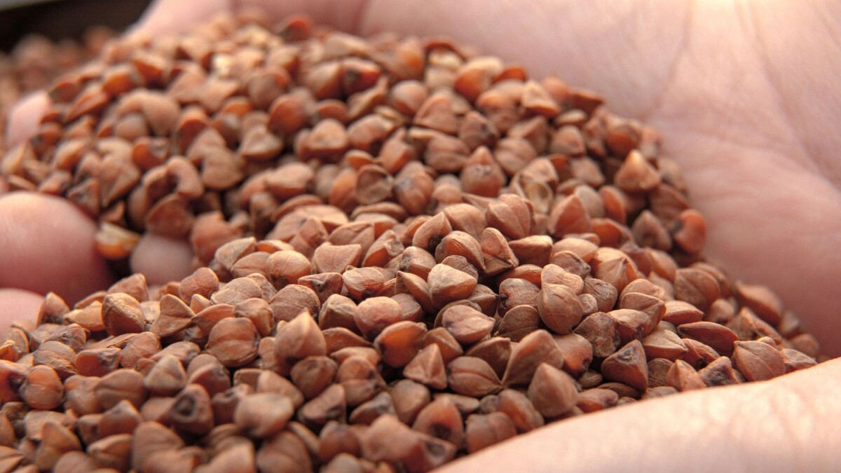    Фото: THE FIRSTFOTOLAB/Shutterstock/Fotodom