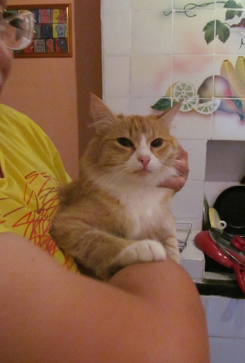 Просто красавец!