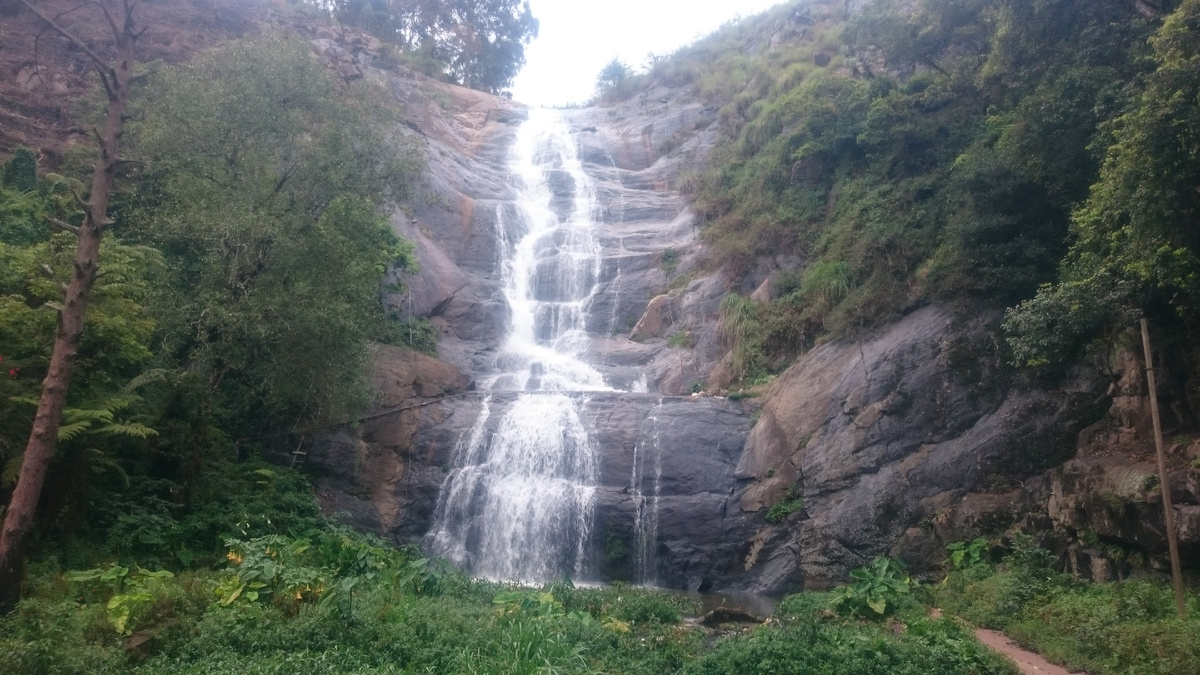 Где то в Индии...